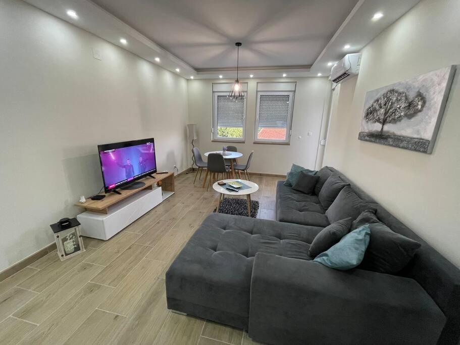 Dream House Apartment Paracin Luaran gambar